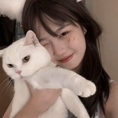 PG麻将胡了免费版app下载截图